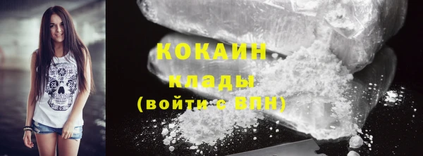 прущие грибы Зерноград
