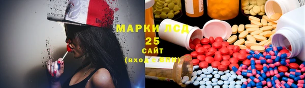 прущие грибы Зерноград