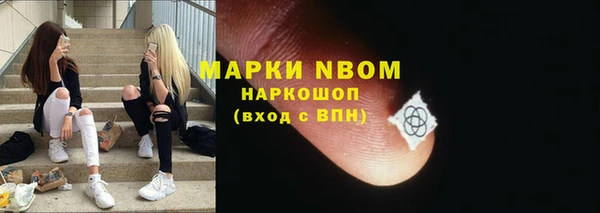 прущие грибы Зерноград
