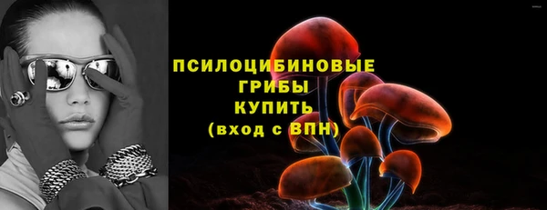 прущие грибы Зерноград