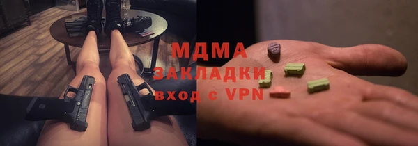 прущие грибы Зерноград