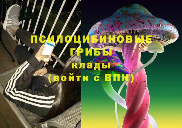 прущие грибы Зерноград
